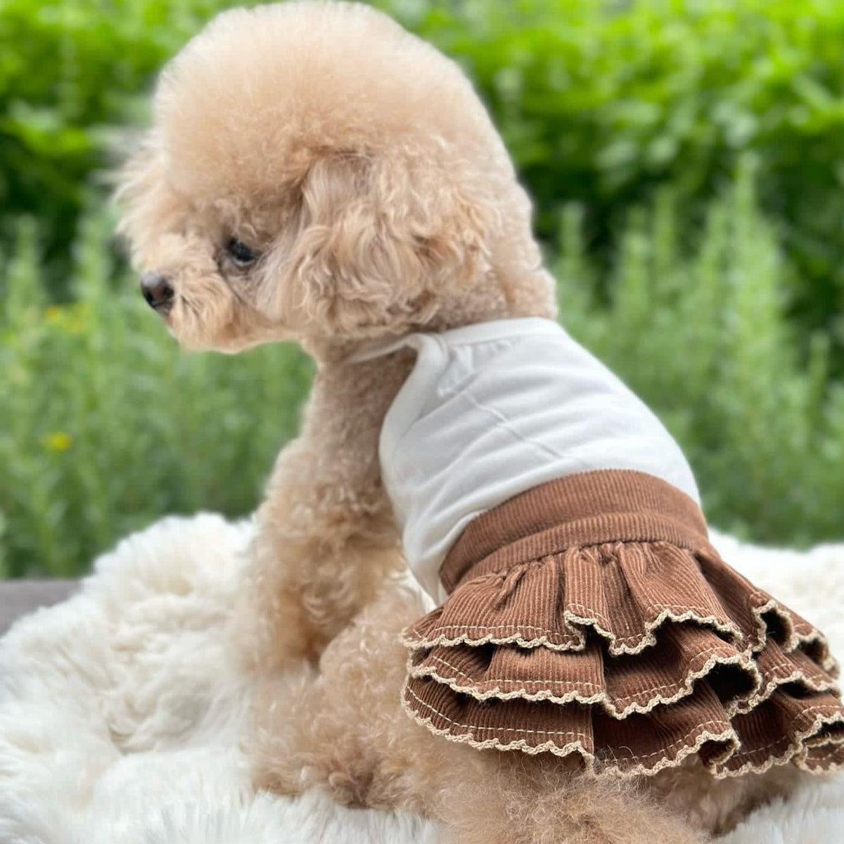 TaniWina Base Cake Skirt for Small Dog Light Brown / XL