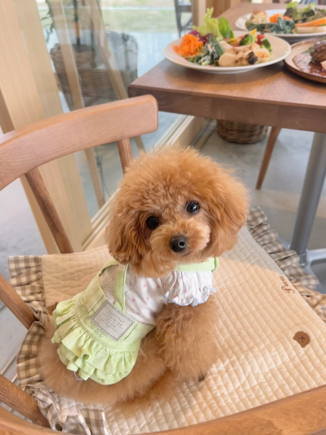 TaniWina Cute Macaron-colored Corduroy Suspender Skirt for Small Dog