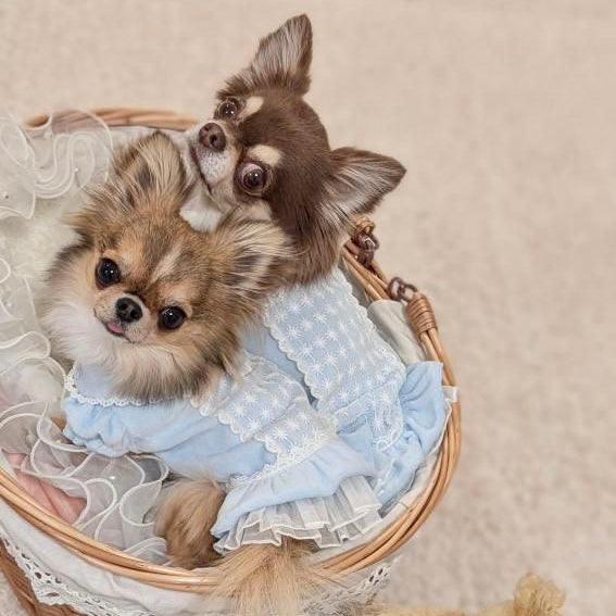 TaniWina Terry Lace Blossom Dress