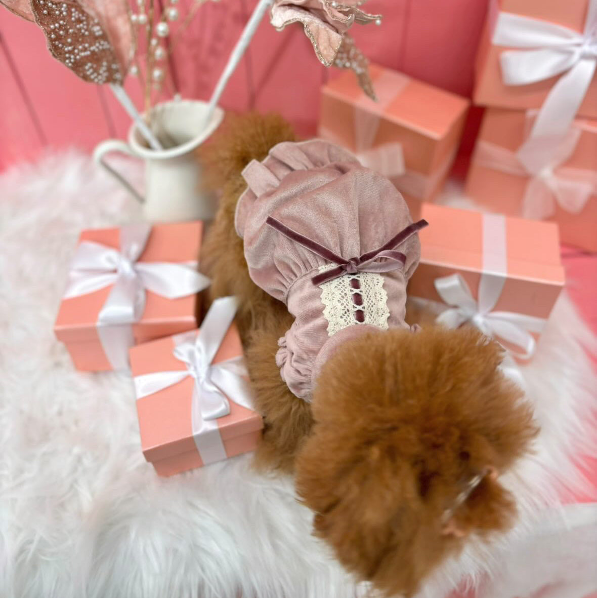 TaniWina クリスマスベルベットチャームドレス