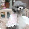 TaniWina Whisker Wonderland: Adorable Camisole Lace Dress for Fashion-Forward Pets