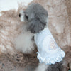 TaniWina Whisker Wonderland: Adorable Camisole Lace Dress for Fashion-Forward Pets