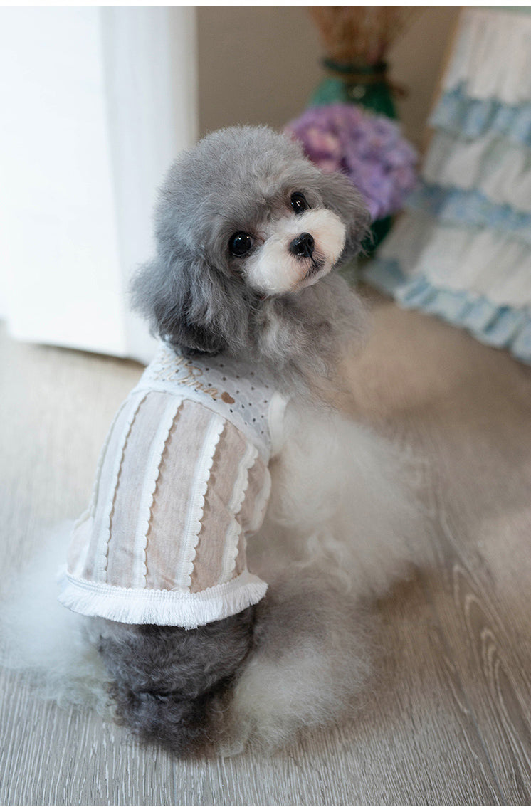 TaniWina Fashionable Furry Fringe: Pet Fringed Vest for Small Dogs