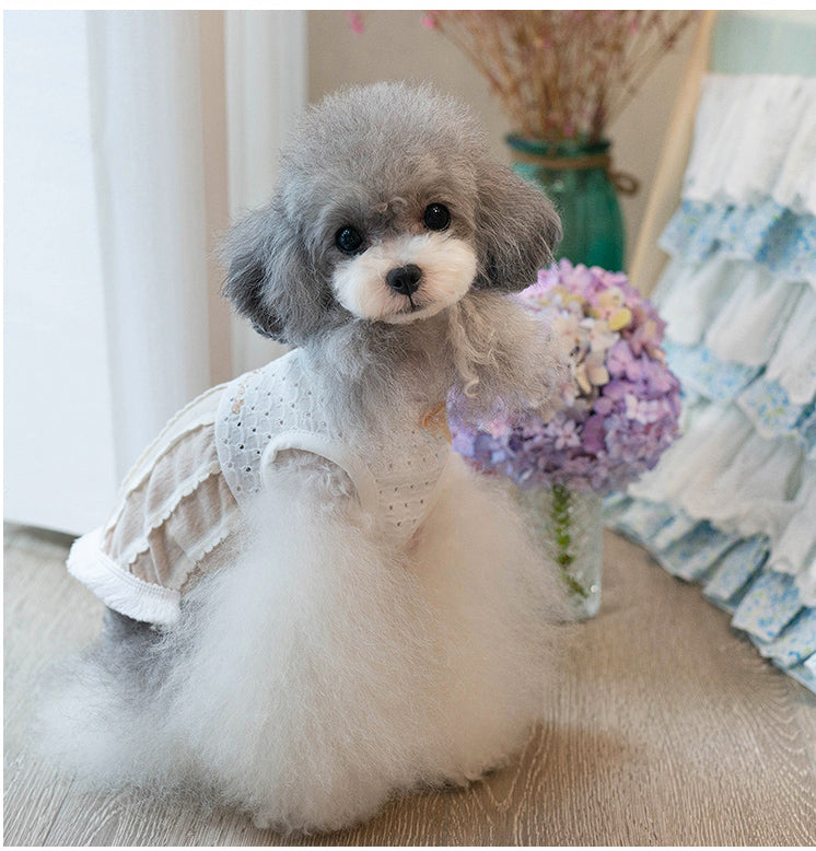 TaniWina Fashionable Furry Fringe: Pet Fringed Vest for Small Dogs