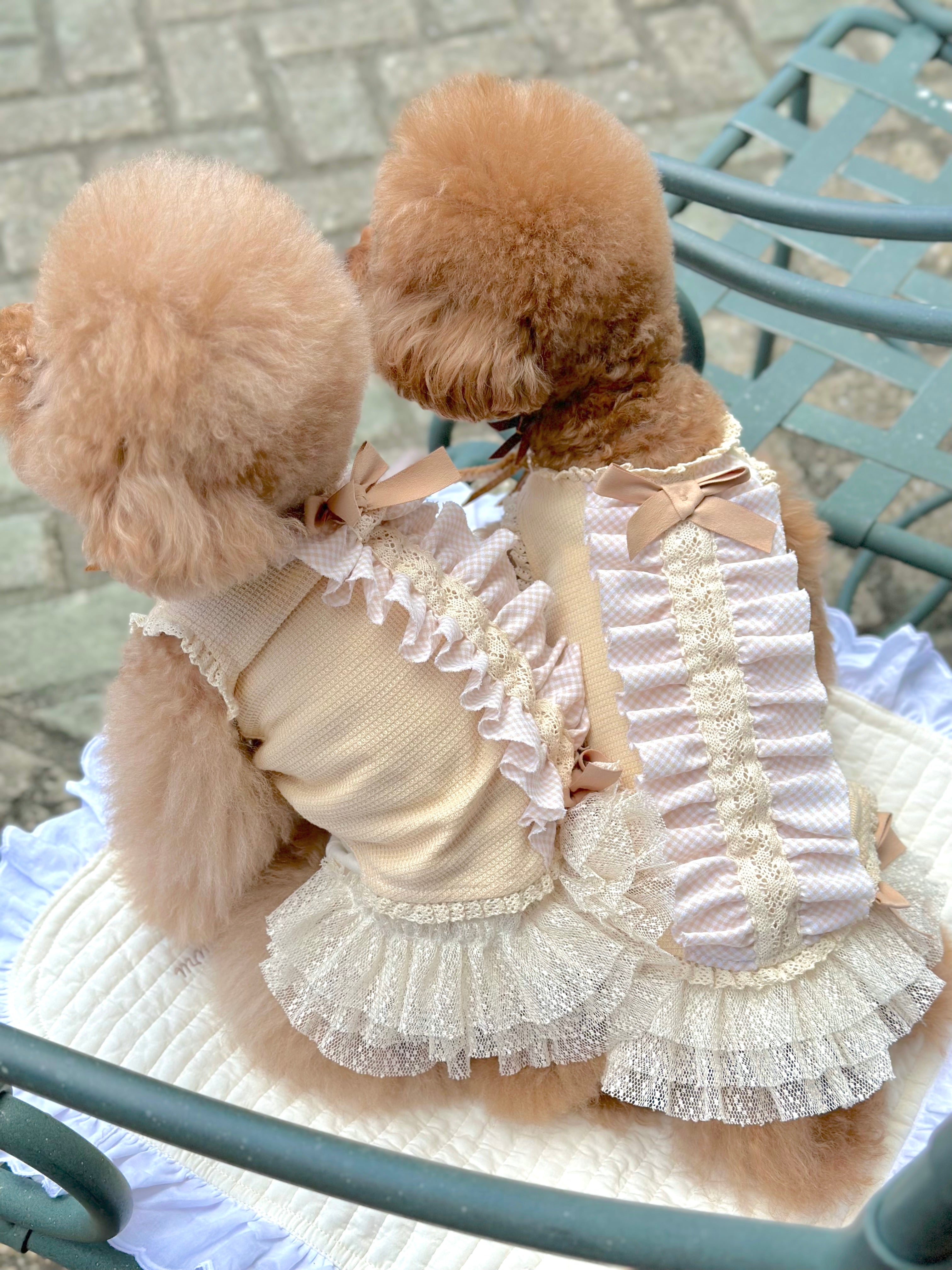 TaniWina Sweetheart Waffle Lace Vest: Fashionable and Functional | Perfect for Pets