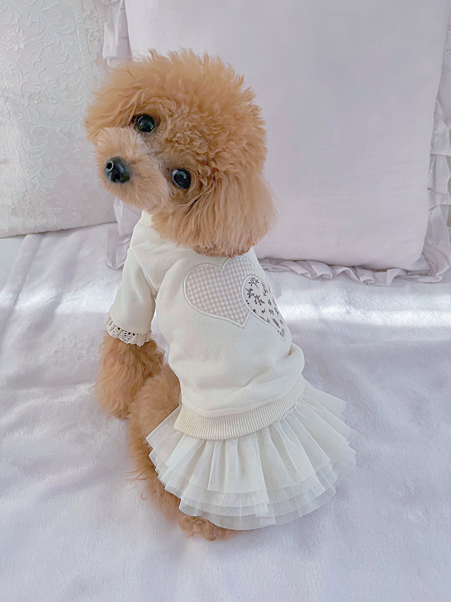 TaniWina Pet Ballet Tutu Skirt: Graceful Elegance for Small Dogs