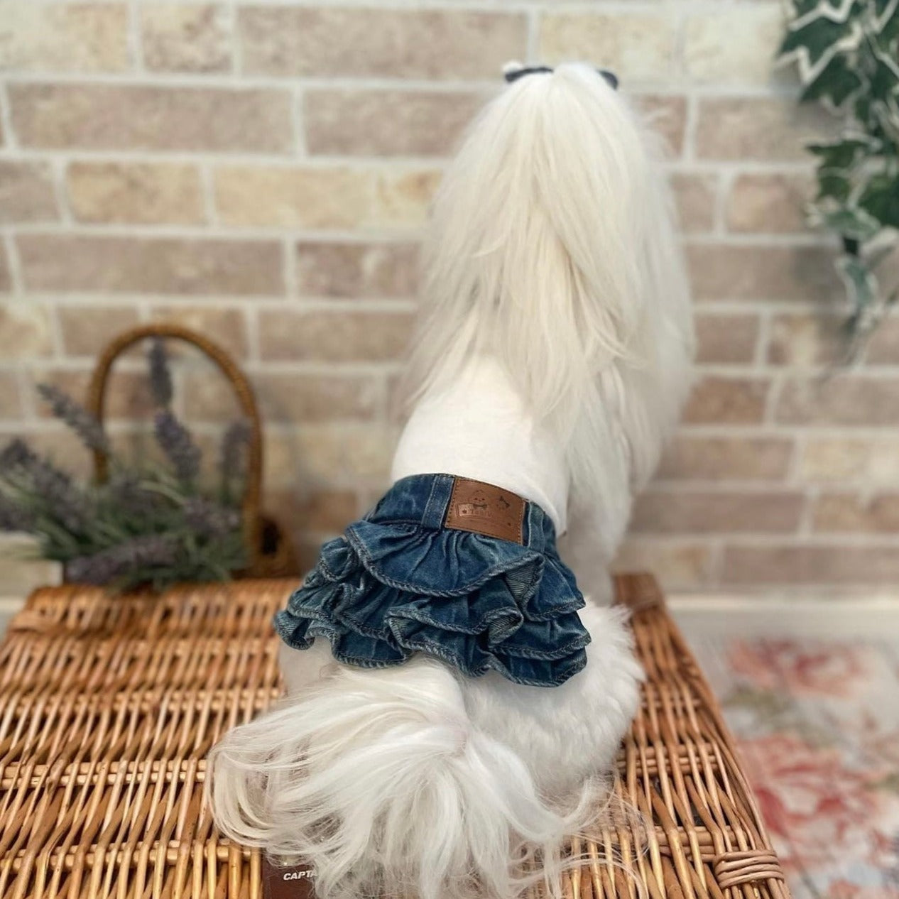 TaniWina Pet Clothing Cotton Bottoming Denim Cake Skirt for Small Dog