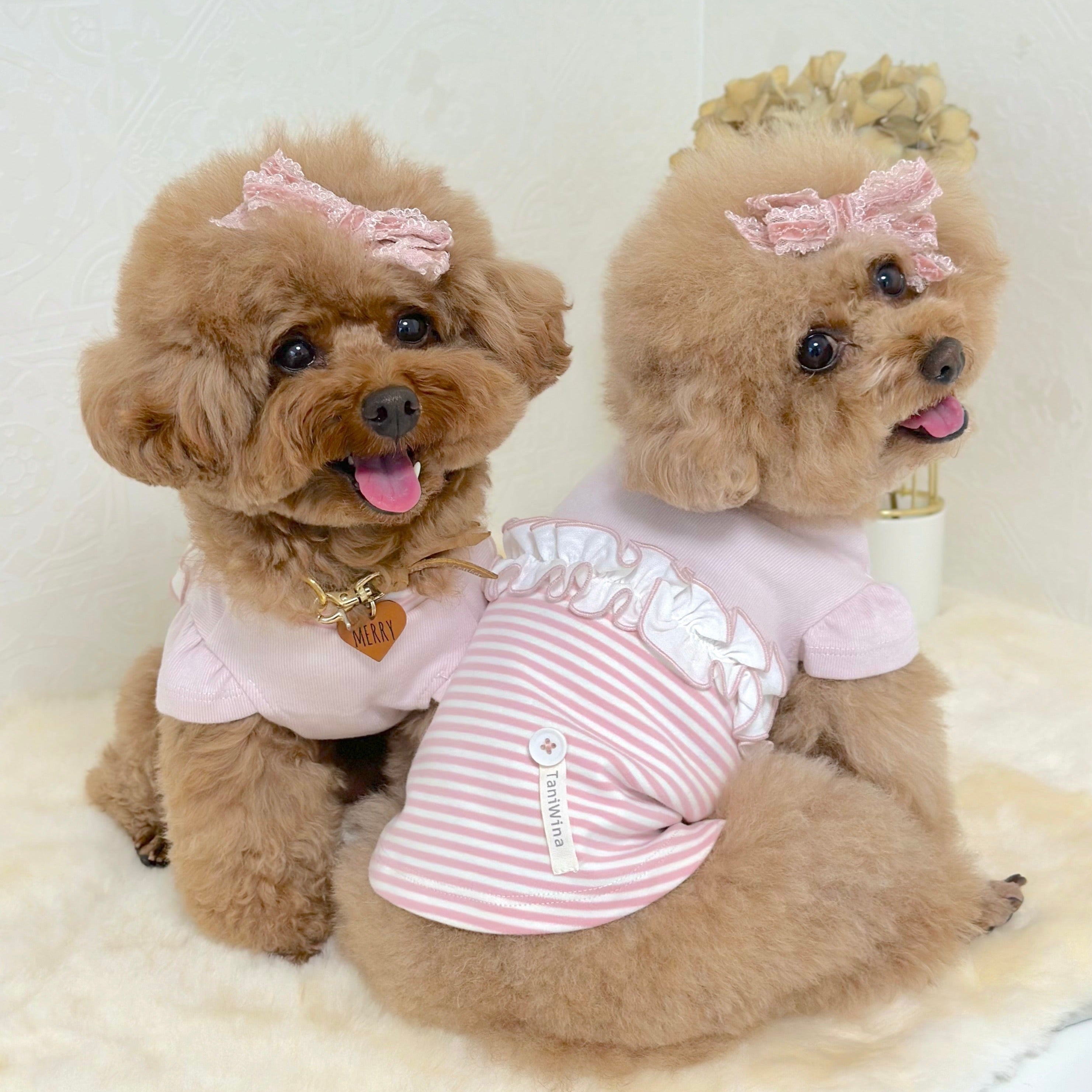 TaniWina New Collection Lace and Stripes Shirt Pet Clothing for Small dog