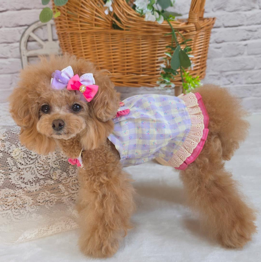 TaniWina 犬用ダウンジャケット ピンク・ラベンダー 2色セット　XXS タニウィナ ペット服 – TaniWina Pet Clothes