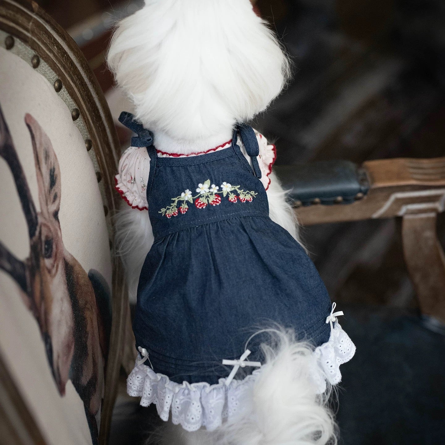 TaniWina Berry Garden Embroidered Denim Dress