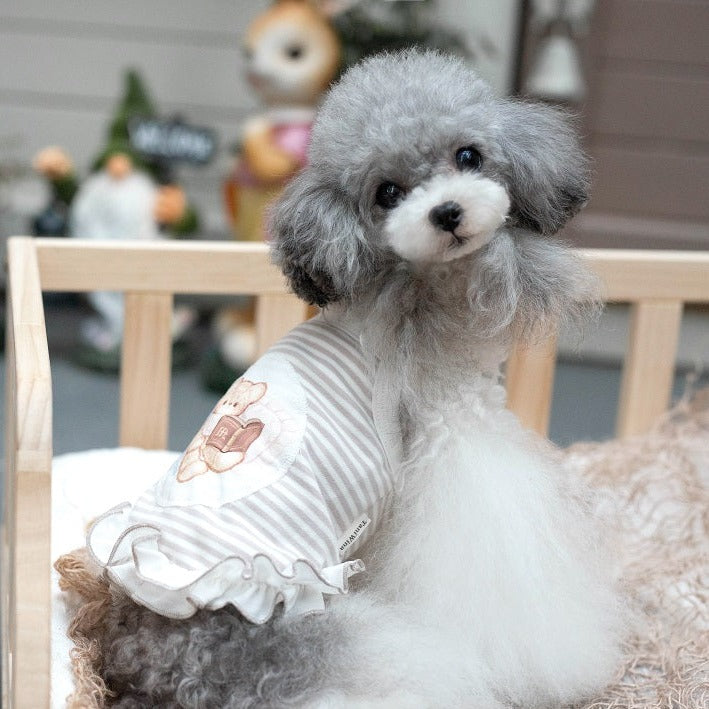 TaniWina Whisker Wonderland: Adorable Camisole Lace Dress for Fashion-Forward Pets