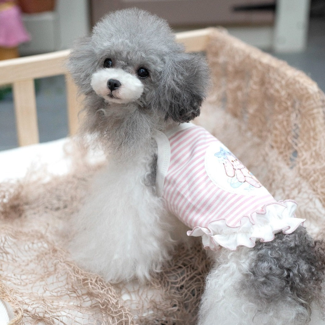 TaniWina Whisker Wonderland: Adorable Camisole Lace Dress for Fashion-Forward Pets