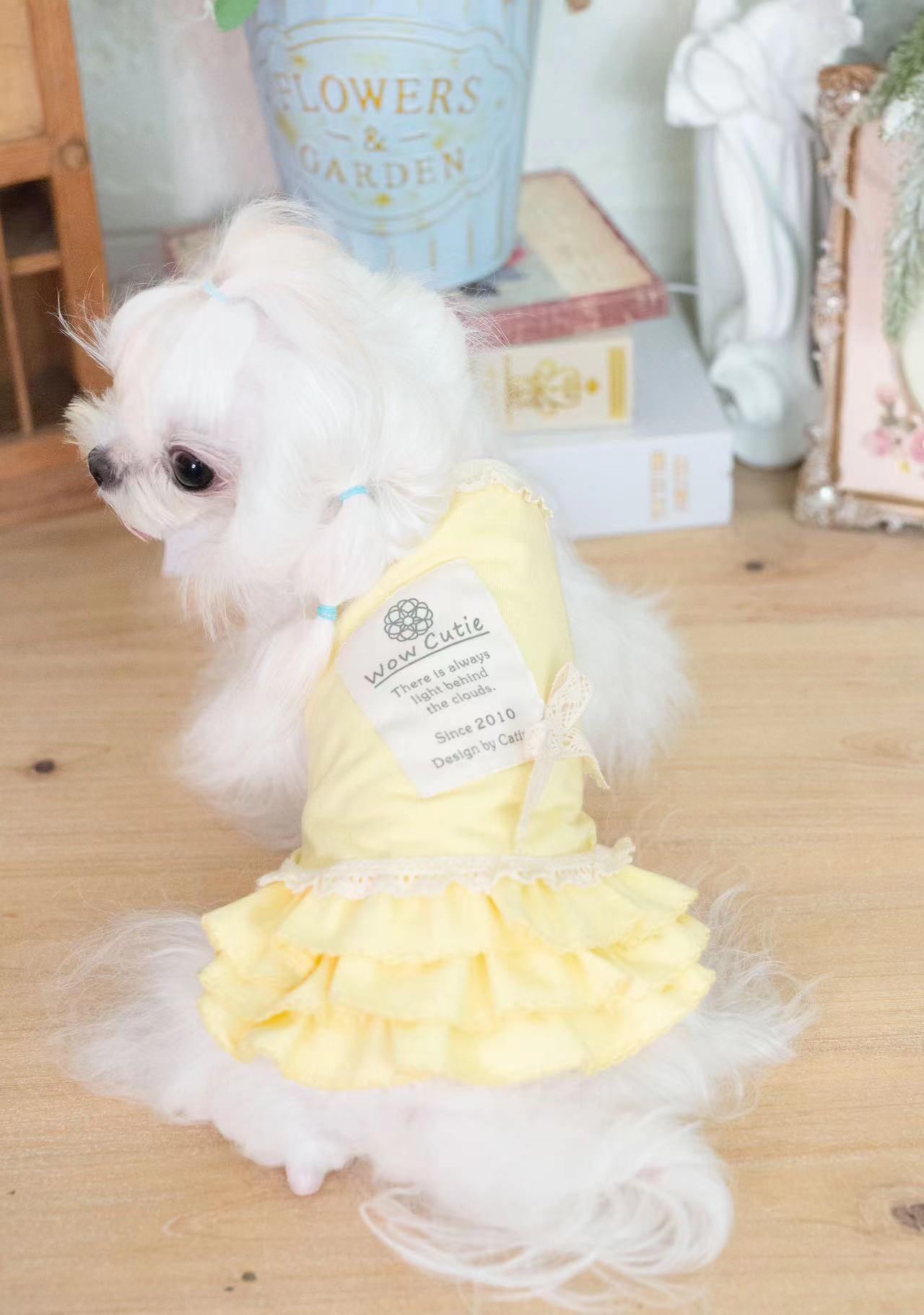 TaniWina Pet Clothing Candy-Colored Bottoming Skirt for Small Dogs