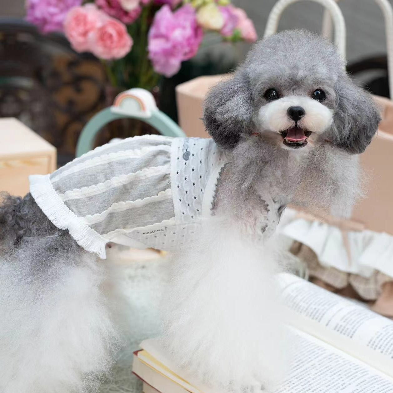 TaniWina Fringe Finesse: Pet Fringed Suspender Skirt for Stylish Pooches