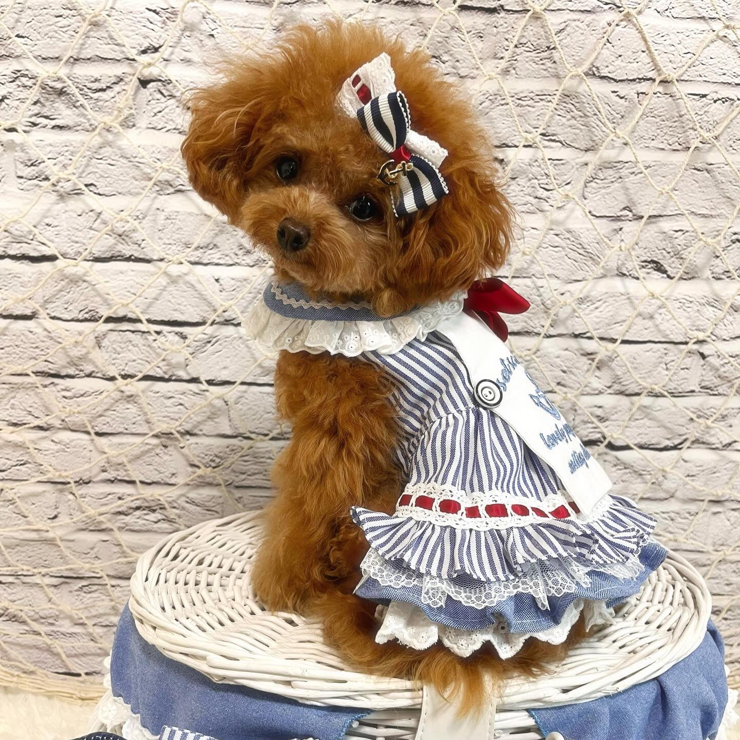 TaniWina Lovely Penguin's Sailor Dress for Small Dog- Nautical Stripe Embroidery S TaniWina Lovely Penguin's Sailor Dress for Small Dog- Nautical Stripe Embroidery S