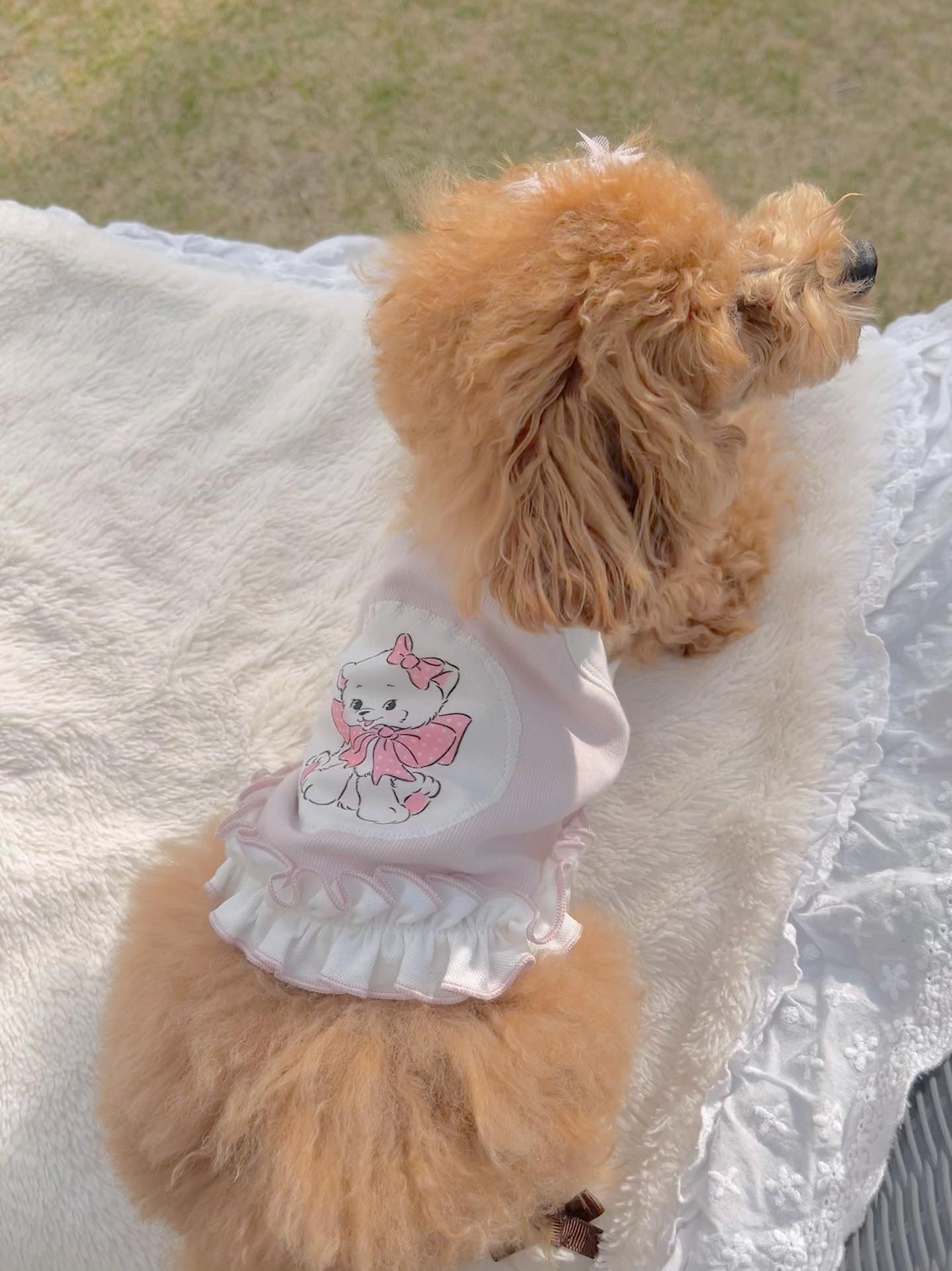 TaniWina Twinning Tails: Doggie Camisole for Matching Dog Couple Looks