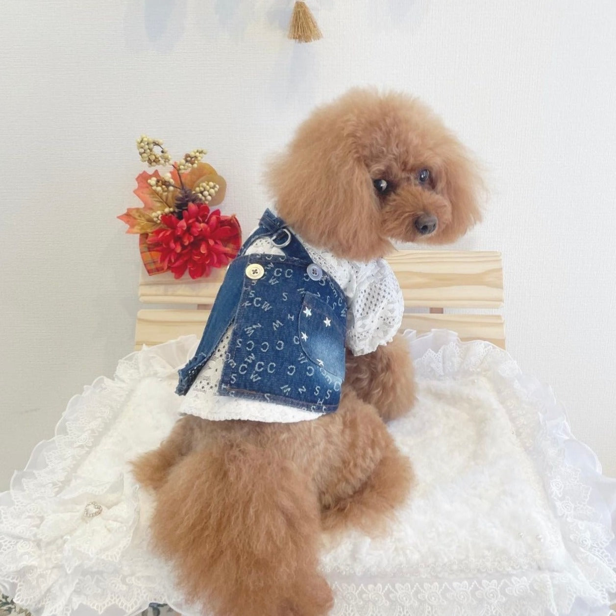 TaniWina Denim Pet Harness Dress: Elevate Your Furry Friend's Style