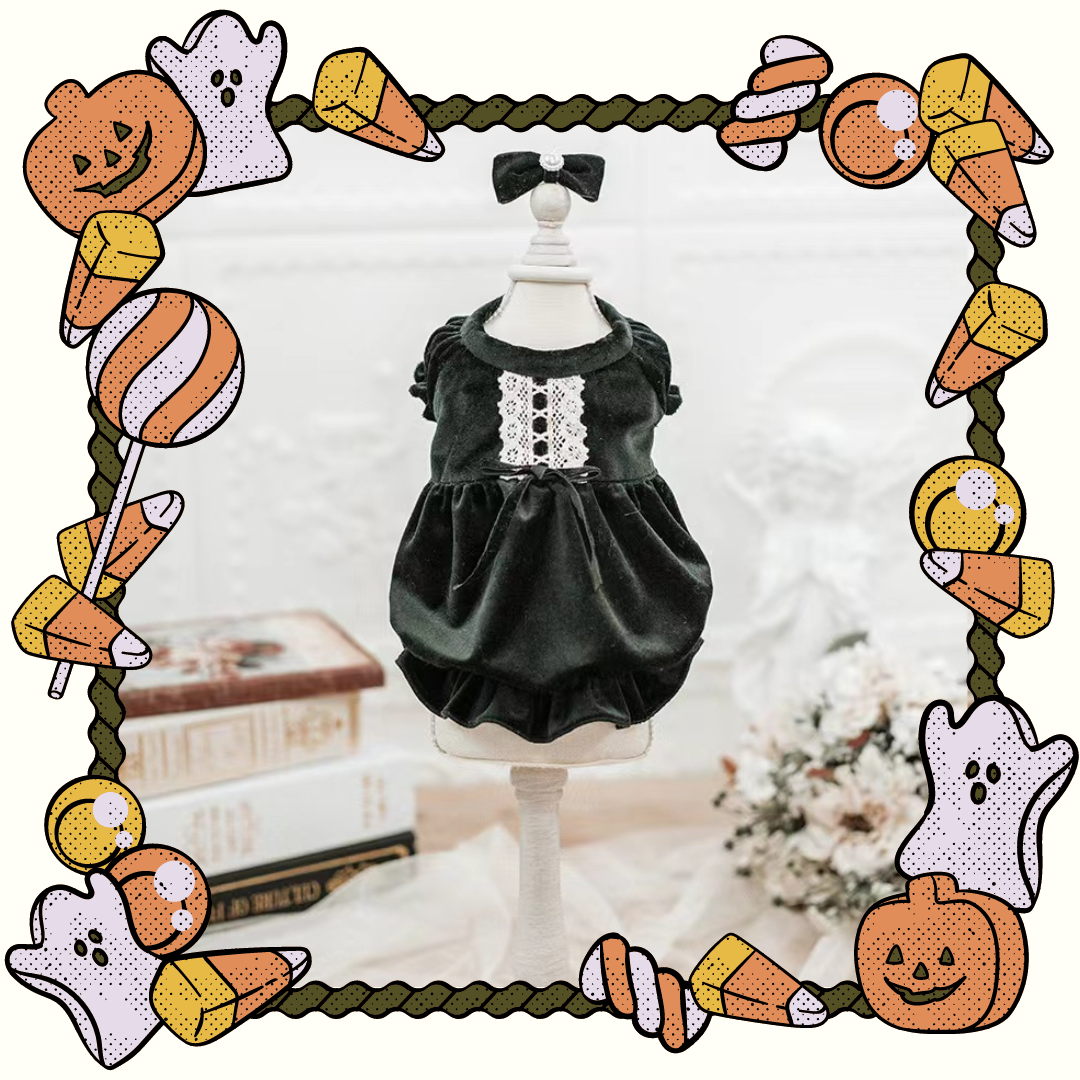 TaniWina Velvet Midnight Pumpkin Dress – Spooky Chic Halloween Edition