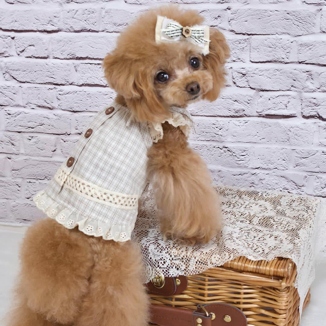 タニウィナ ペット服 – TaniWina Pet Clothes