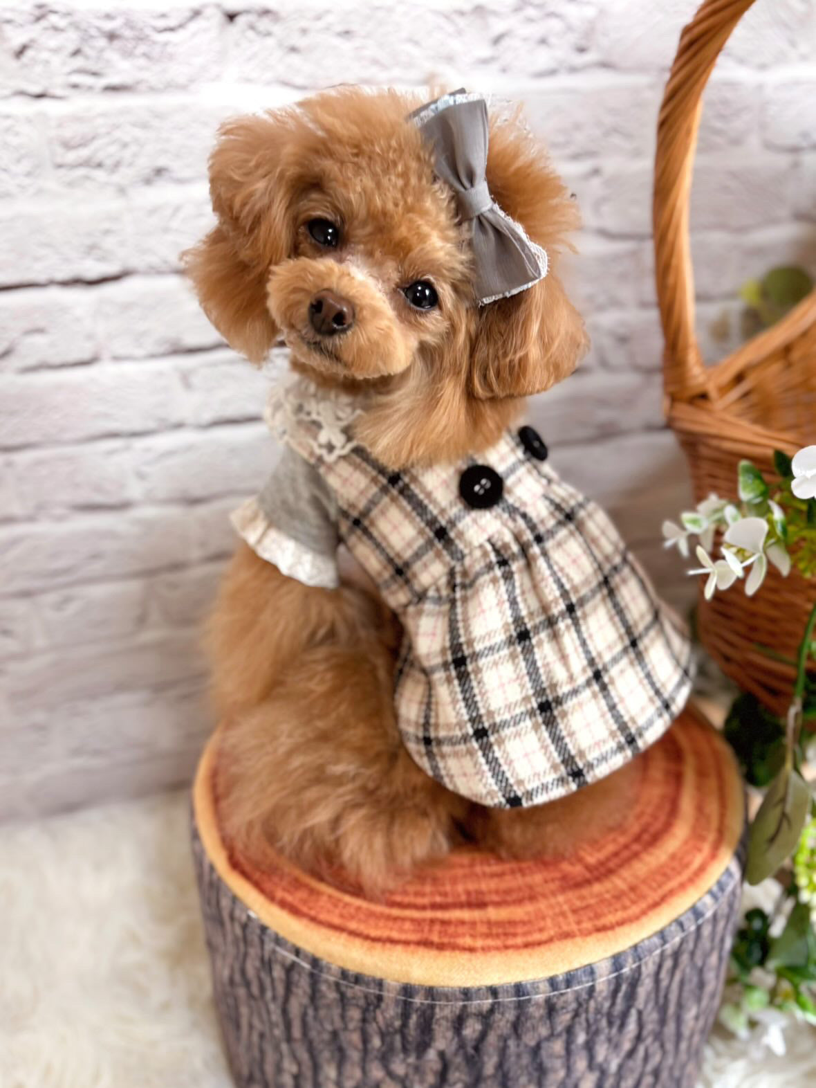 Taniwina エレガントチェック柄ダブルボタンドレス