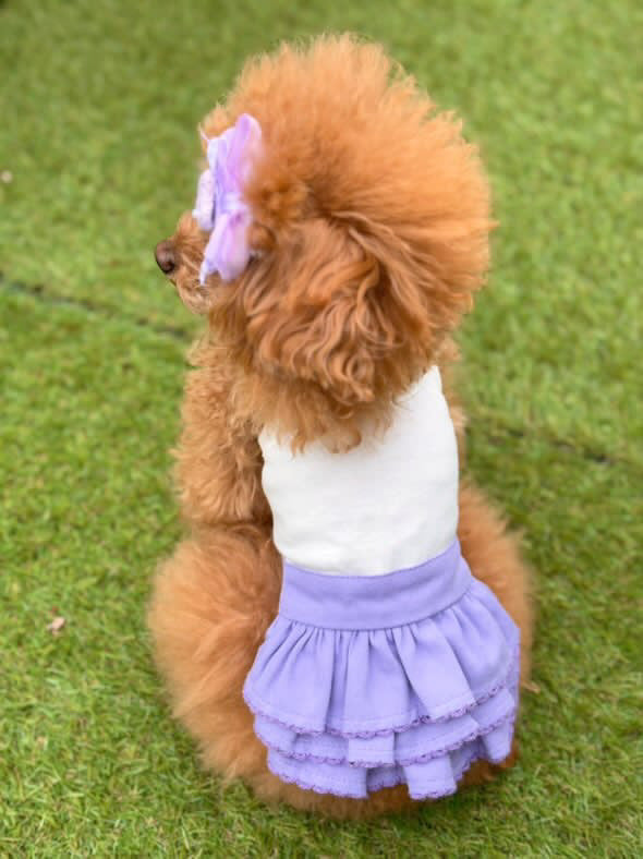 TaniWina Candy Frill Layered Dress