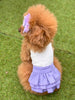 TaniWina Candy Frill Layered Dress