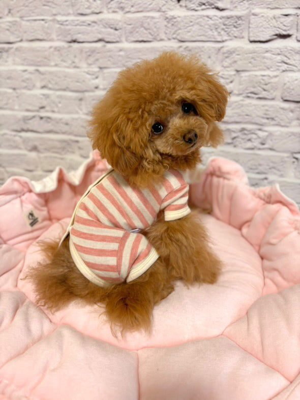 TaniWina Pet Clothes Pure Cotton Homewear Quadruped Clothes