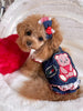 TaniWina Sweet Bear Ruffle Denim Suspender Dress– Autumn Puppy Outfit