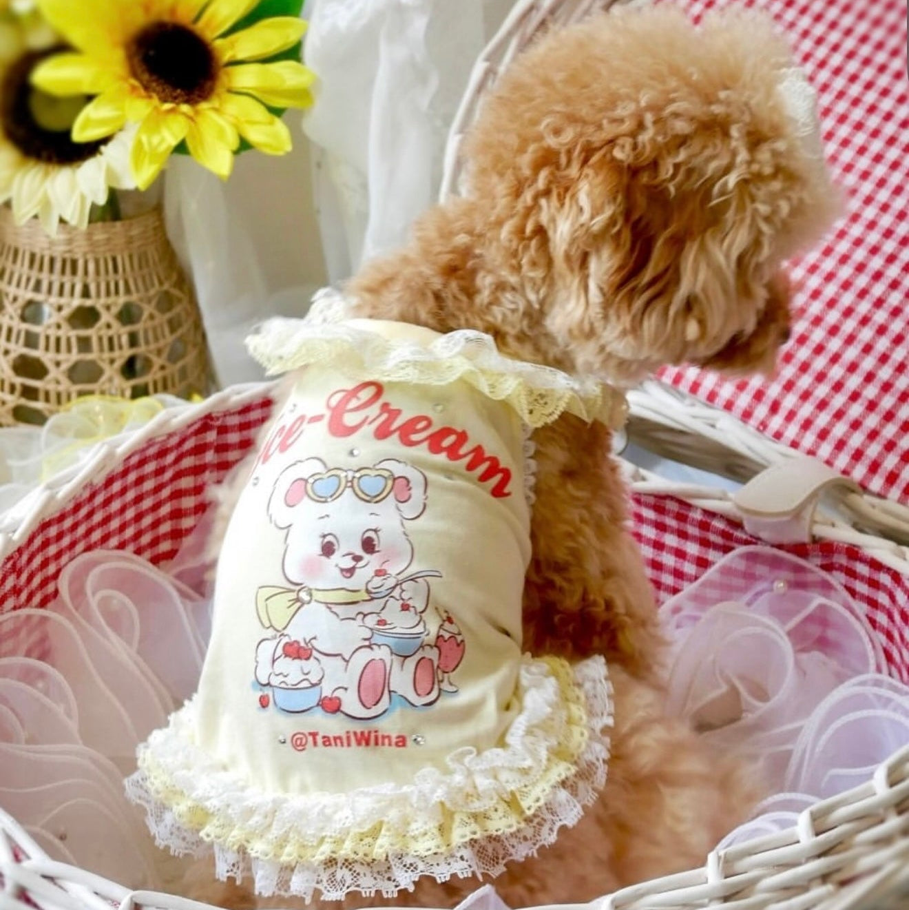 TaniWina Chill Bear Lace Frill Dress