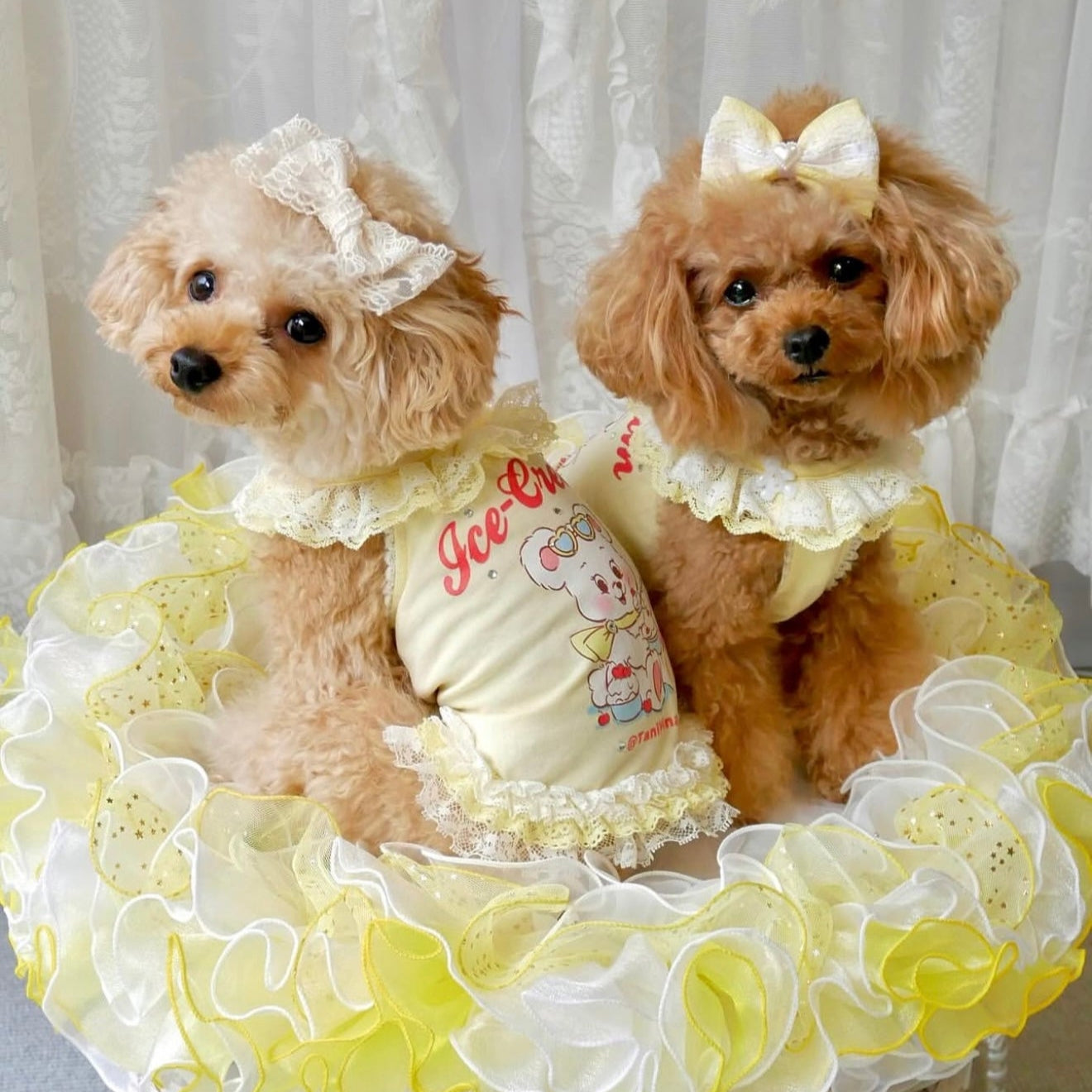 TaniWina Chill Bear Lace Frill Dress