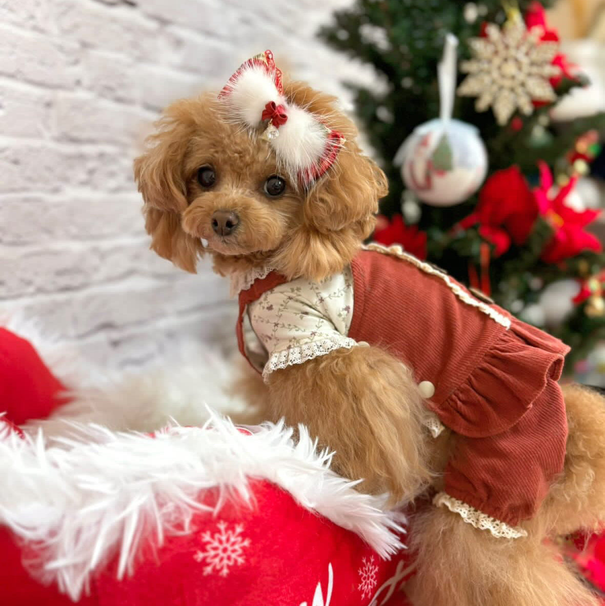 TaniWina Christmas Vintage Lace Corduroy Jumpsuit