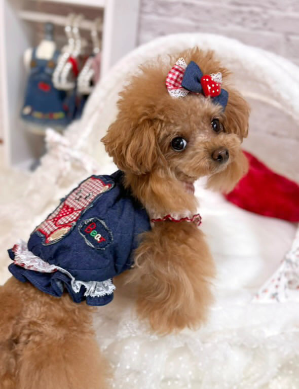 TaniWina Sweet Bear Ruffle Denim Suspender Dress– Autumn Puppy Outfit
