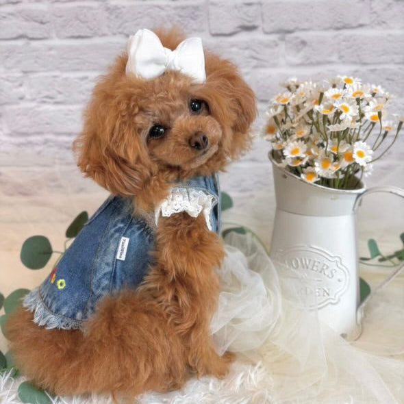 TaniWina Pet Clothing Denim Embroidery Jumper Dress - Cute and Stylish Dress for Small Dogs