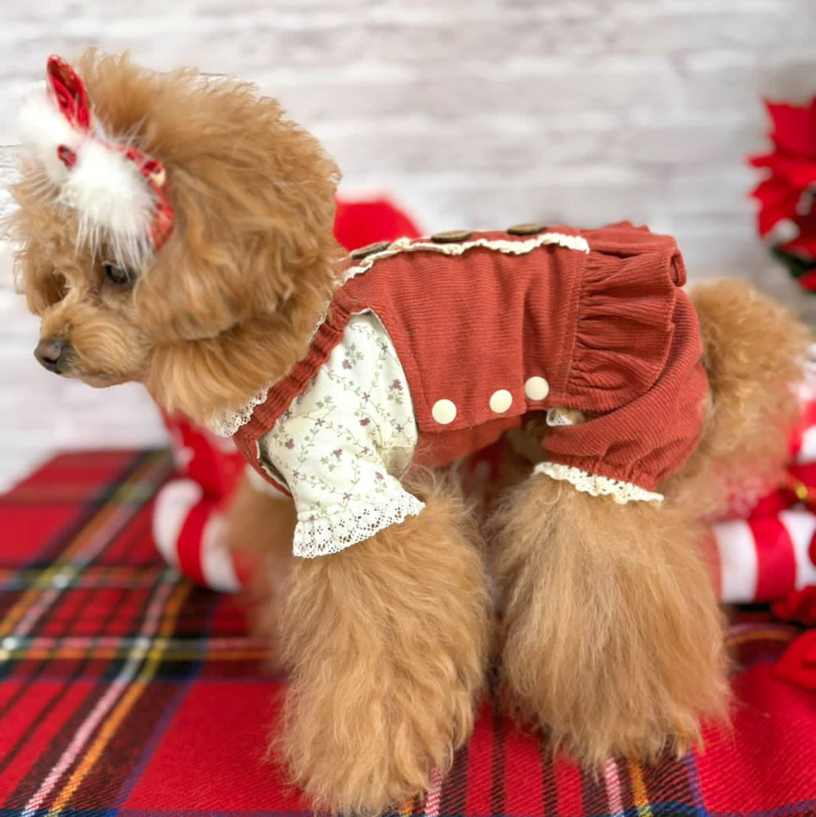 TaniWina Christmas Vintage Lace Corduroy Jumpsuit