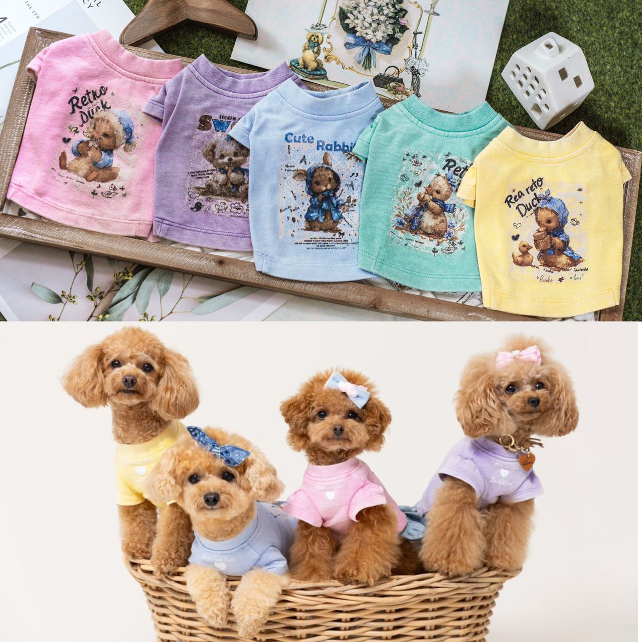 TaniWina Matching Sibling Graphic T-Shirts – Princess & Straight Sleeve Designs for Small Dog