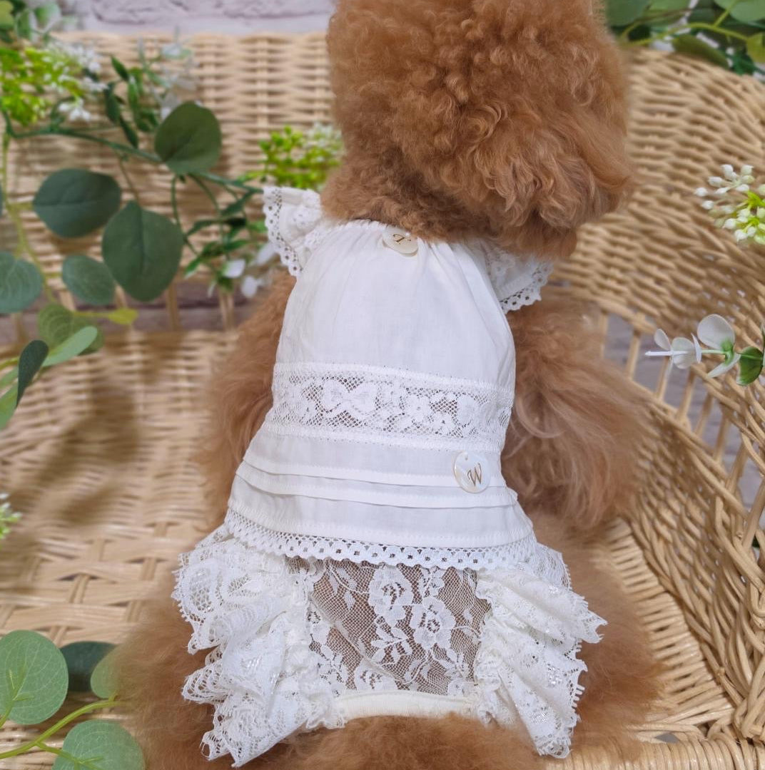 TaniWina レースブロッサム プリンセスシャツ｜小型犬用 レース