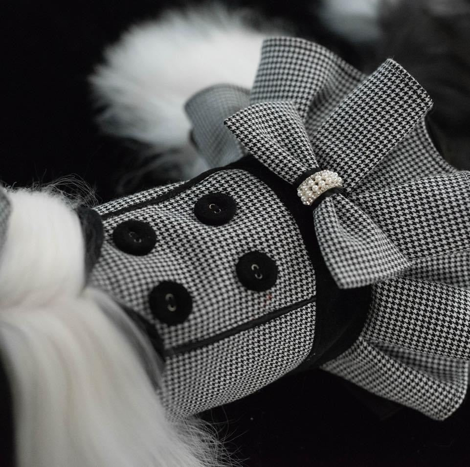 TaniWina Elegant Houndstooth Couple Set – British-Inspired Halloween & Winter Fashion for Small Dogs