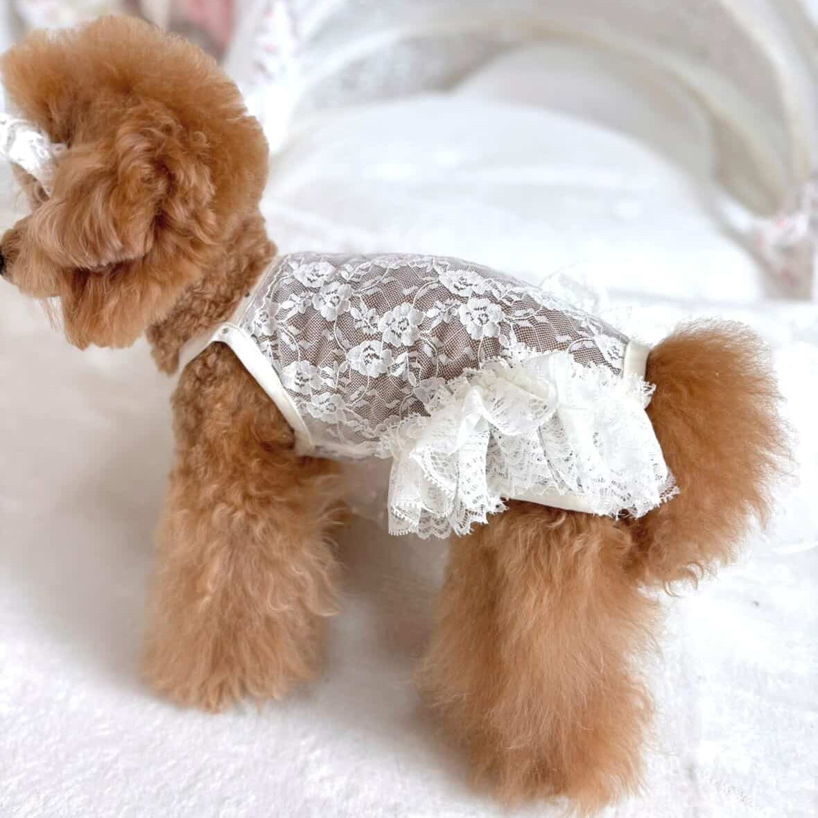 タニウィナ ペット服 – TaniWina Pet Clothes