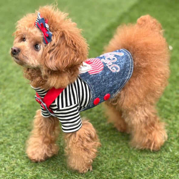 TaniWina Cartoon Denim Suspender Skirt for Small Dog Clothes