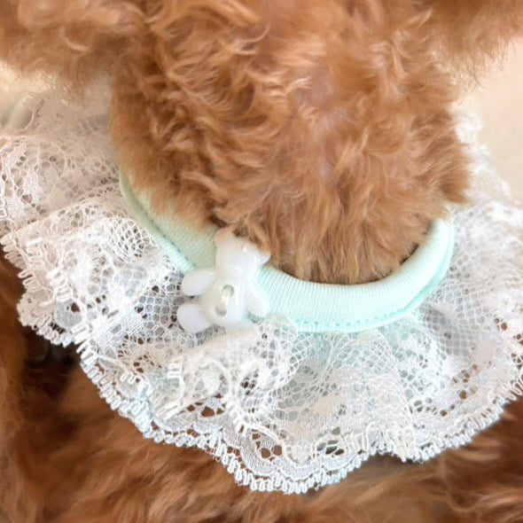 TaniWina Chill Bear Lace Frill Dress