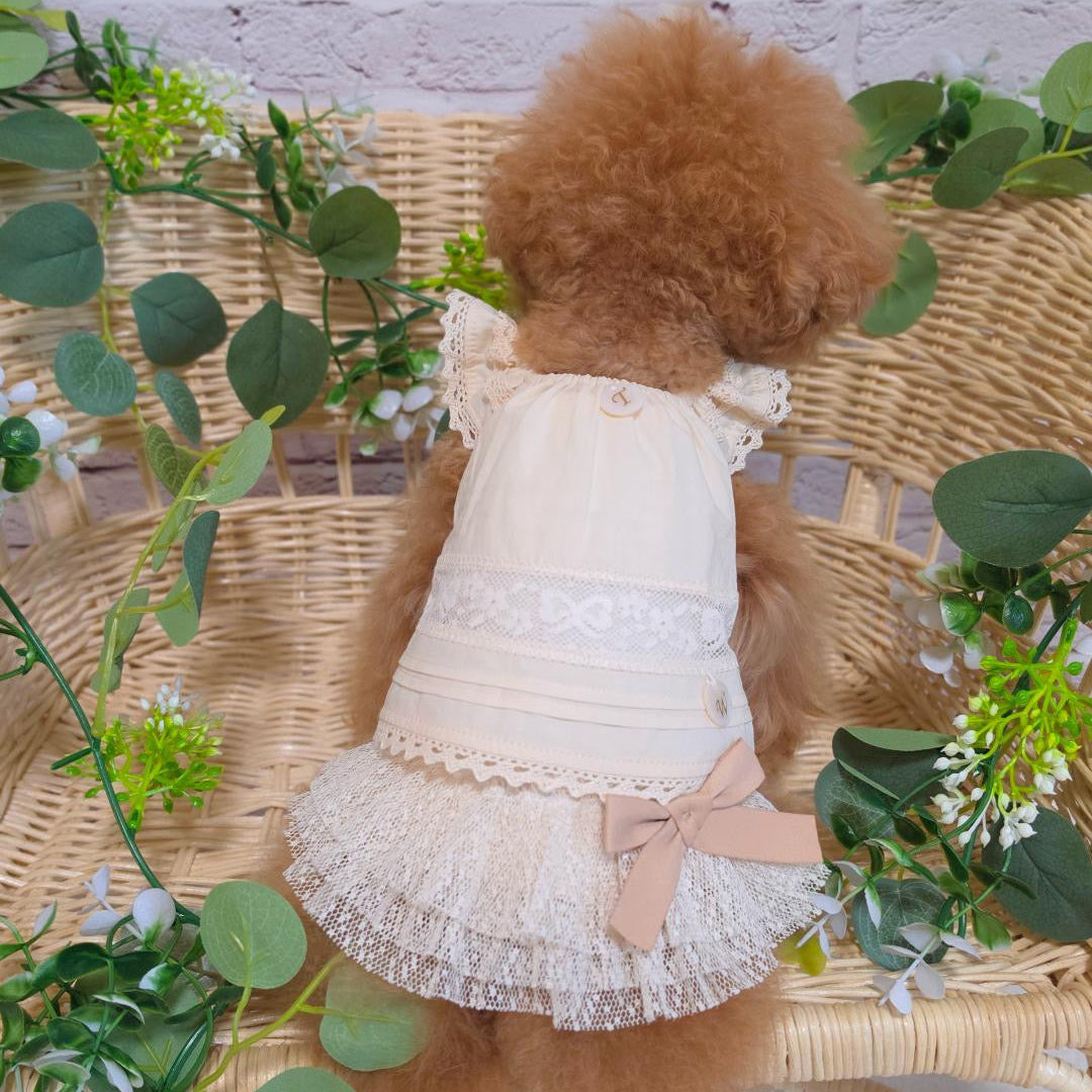タニウィナ ペット服 – TaniWina Pet Clothes