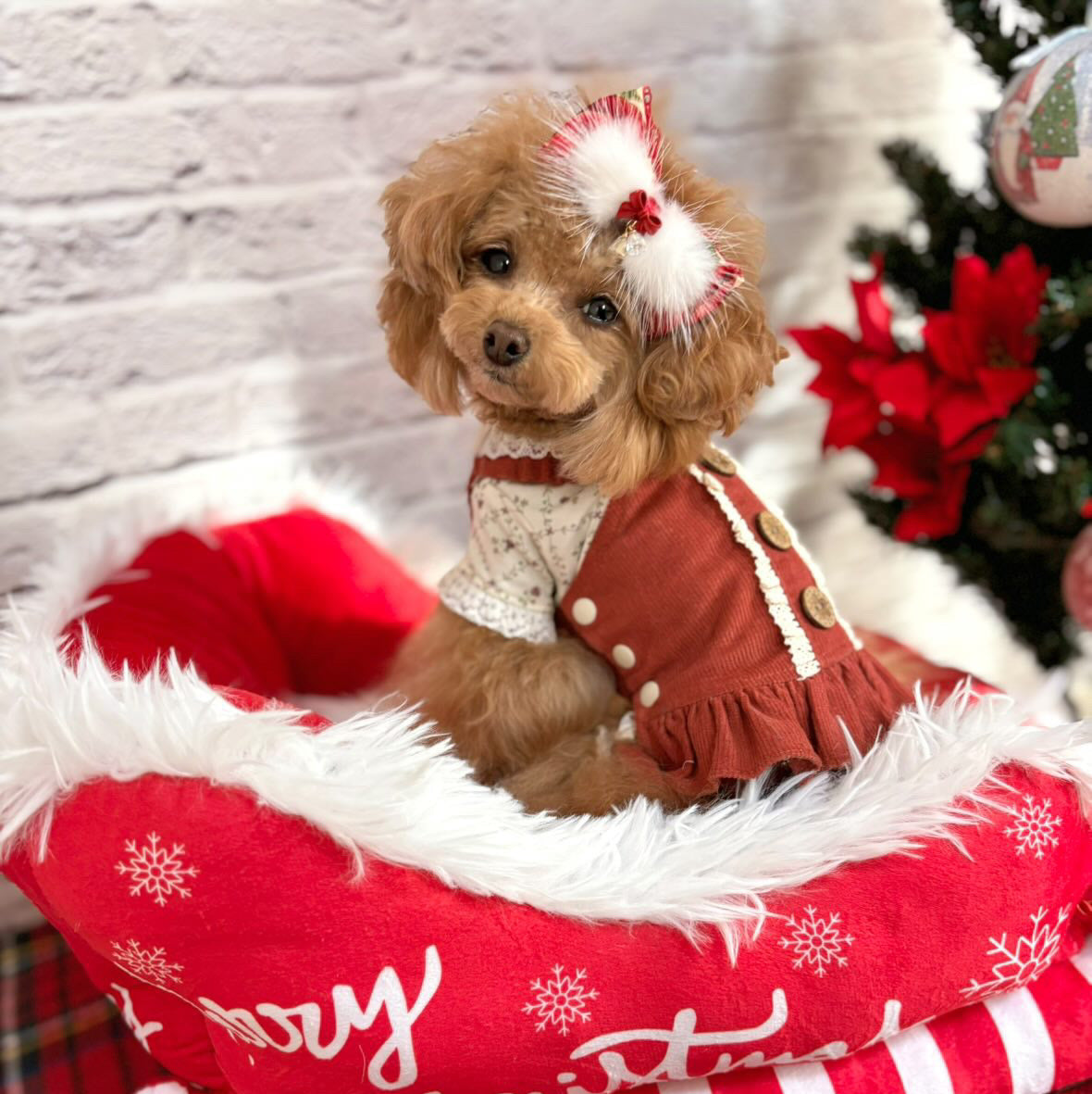 TaniWina Christmas Vintage Lace Corduroy Jumpsuit