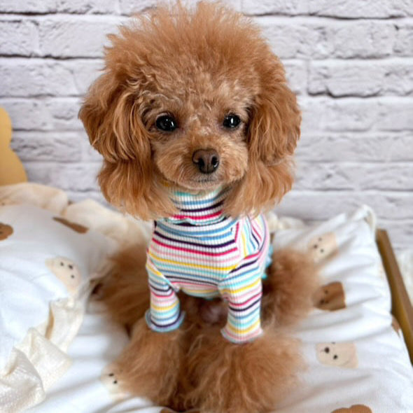 TaniWina Cozy Rainbow Stripe Puppy Turtleneck Shirt