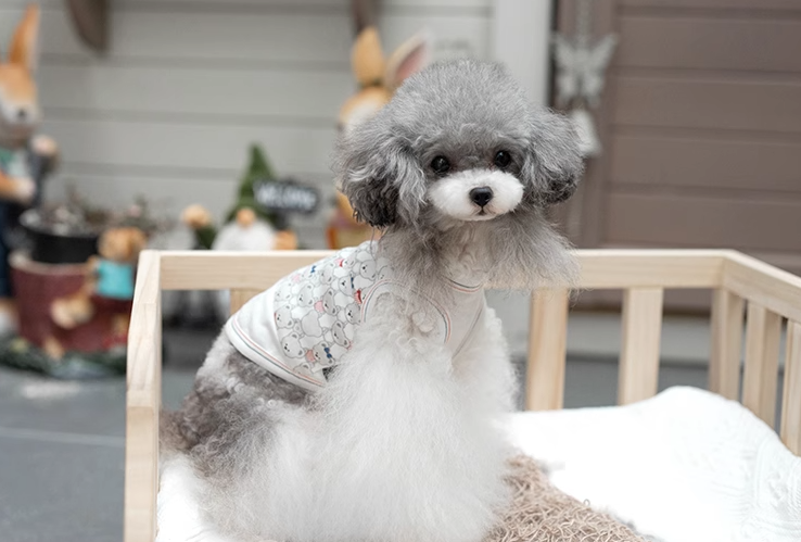 TaniWina Pet Clothing Bear-y Cozy Clothing for Small Dogs