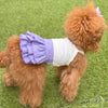 TaniWina Candy Frill Layered Dress