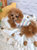 TaniWina Cozy Rainbow Stripe Puppy Turtleneck Shirt