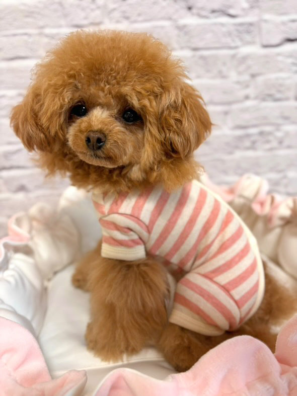 TaniWina Pet Clothes Pure Cotton Homewear Quadruped Clothes