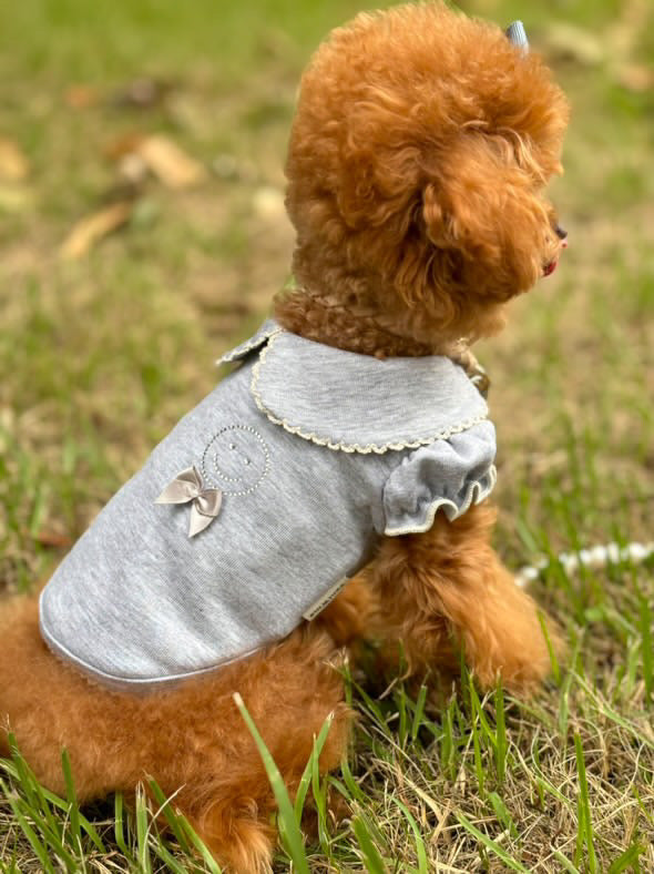 TaniWina Preppy Layered Top – Soft Inner Wear for Small Dogs