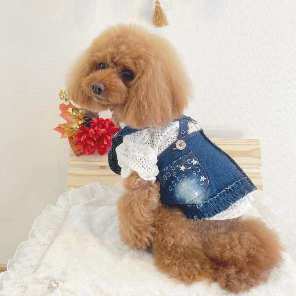 TaniWina Denim Pet Harness Dress: Elevate Your Furry Friend's Style