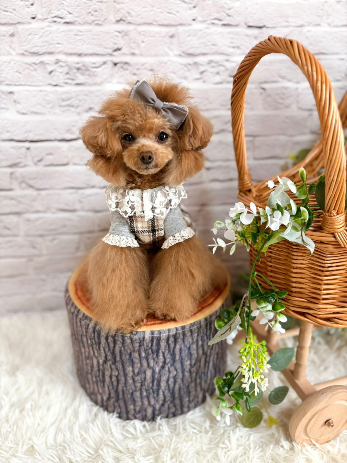 Taniwina エレガントチェック柄ダブルボタンドレス